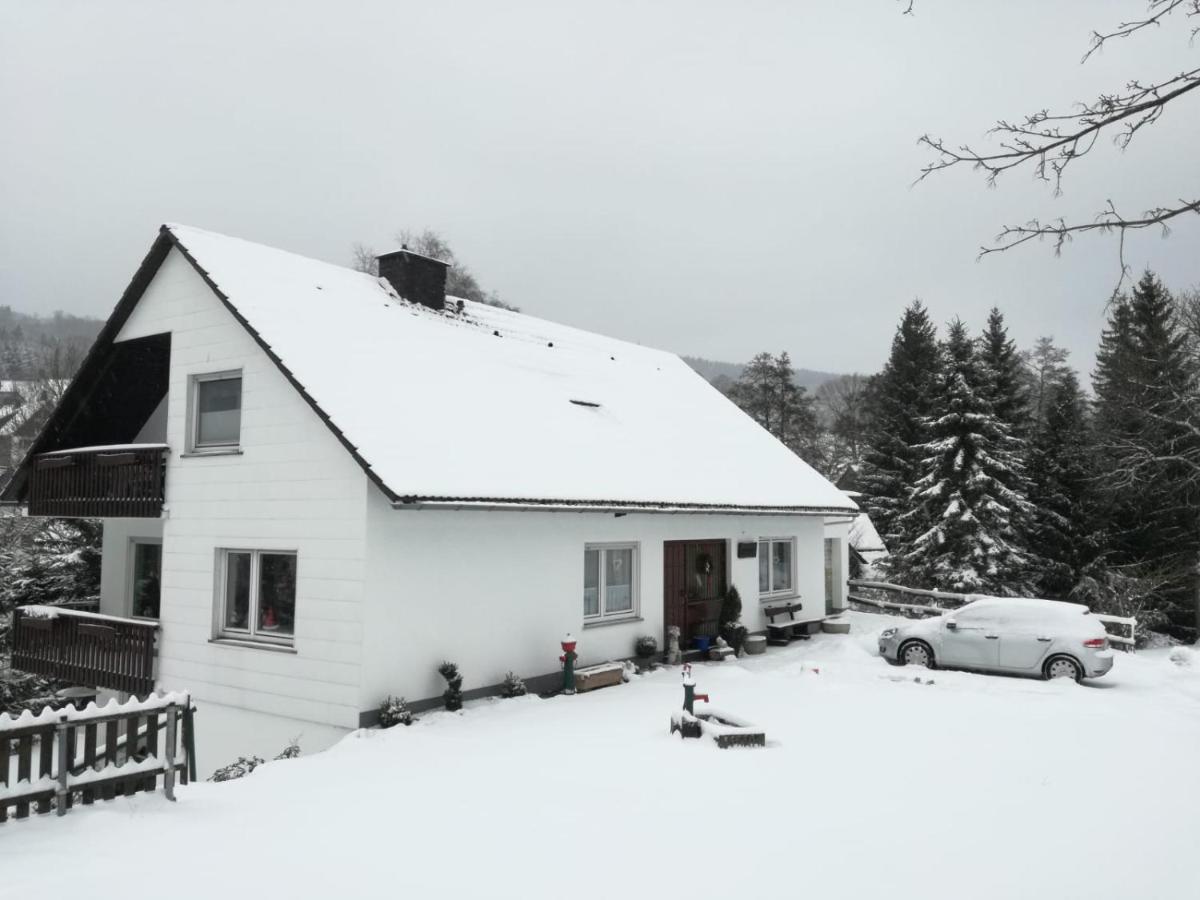 Ferienwohnung Birgit Winterberg Dış mekan fotoğraf